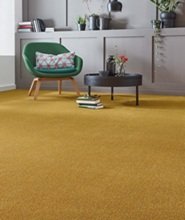 Elegant Carpet Flooring Dubai