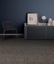 Premium Wall to Wall Carpet
